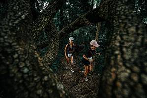 BIB: 
                            <button type="button" onclick="openModal(25685096)" class="btn btn-primary btn-sm float-right btn-popup" data-toggle="modal" data-target=".modal-high-quality">
                        <i class="fas fa-shopping-cart"></i> Add to Cart
                    </button>
                                            <button type="button" onclick="isThisMe(25685096, true)" class="btn btn-success btn-sm float-right btn-popup btn-isme hidden" data-toggle="tooltip" data-placement="bottom" title="นี่คือรูปของคุณใช่ไหม คลิกที่นี่เพื่อเอาเข้าอัลบั้ม">
                        <i class="fas fa-plus"></i> Add to album
                    </button>
                    <button type="button" onclick="isThisMe(25685096, false)" class="btn btn-warning btn-sm float-right btn-popup btn-isnotme hidden">
                        <i class="fas fa-ban"></i> Remove from album
                    </button>